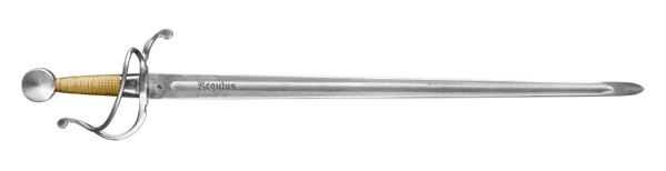 Trwa jubileuszowy program partnerski pod nazwą: X Misja – PAŁASZ DRAGONÓW GWARDII KORONNEJ. 