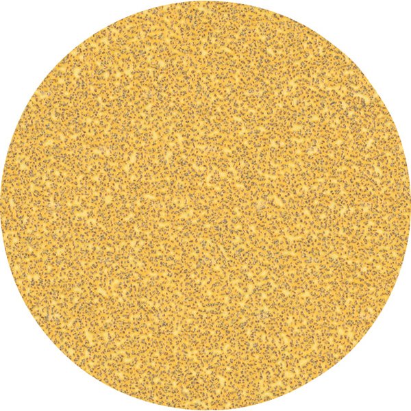 PAPIER EXPERT EXC470,G40,125,H&L 50X