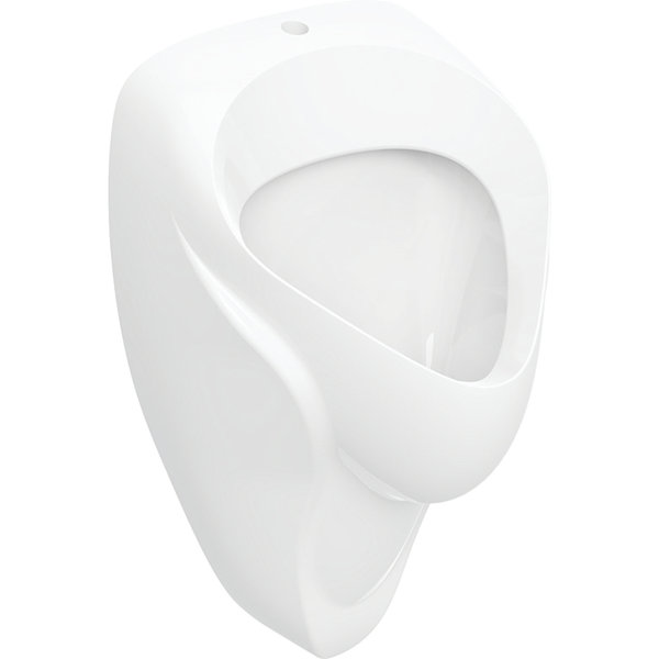 Geberit Alex Pisuar, B38cm, H64.5cm, T35cm, dopływ u góry, odpływ do tyłu