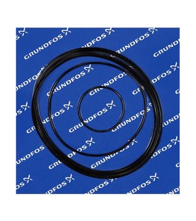 Zestaw oringów GRUNDFOS TP IFV 200TL