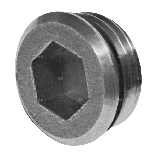 Zaślepka niklowana GZ - G1/2''