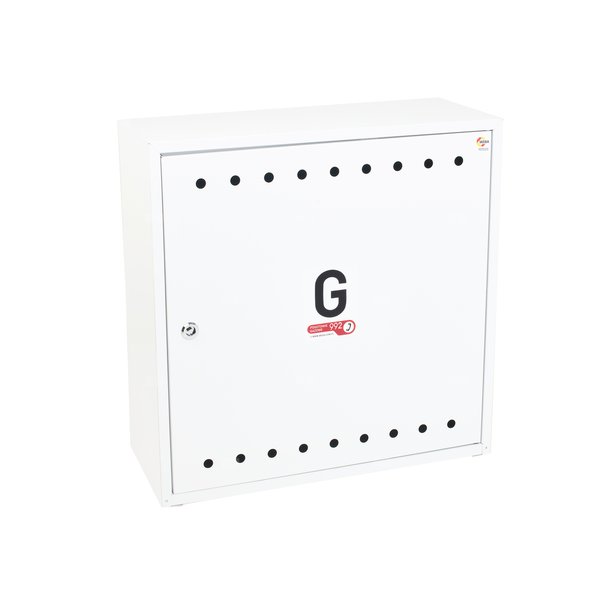 Skrzynka gazowa 600x600x250 wolnostojąca, stalowa, ze skośnym daszkiem, RAL 9003 biała